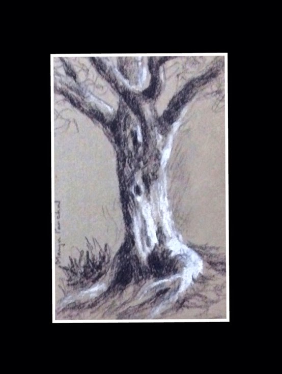Charcoal and soft pastel sketching of a tree on CANSON MI TENTES paper by Manju Panchal