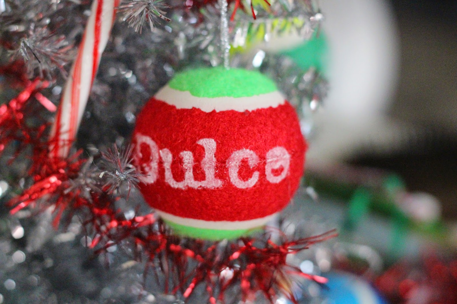 Santa Cruz Dogs DIY Tennis Ball ornament!