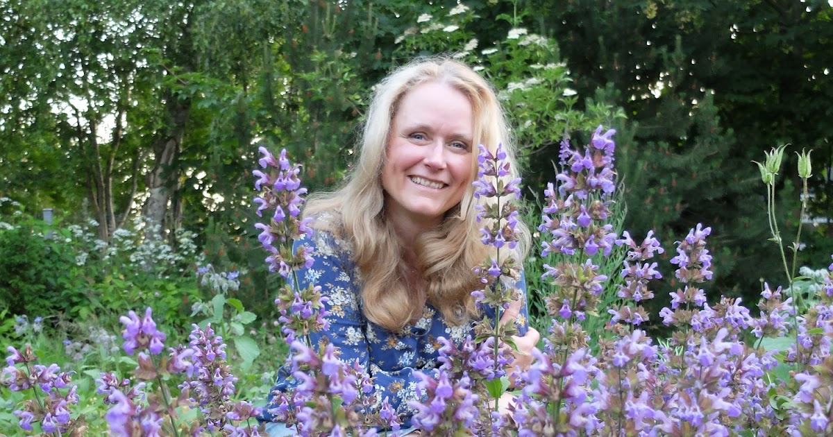 Ibee's garden: article about my garden in the danish gardening ...