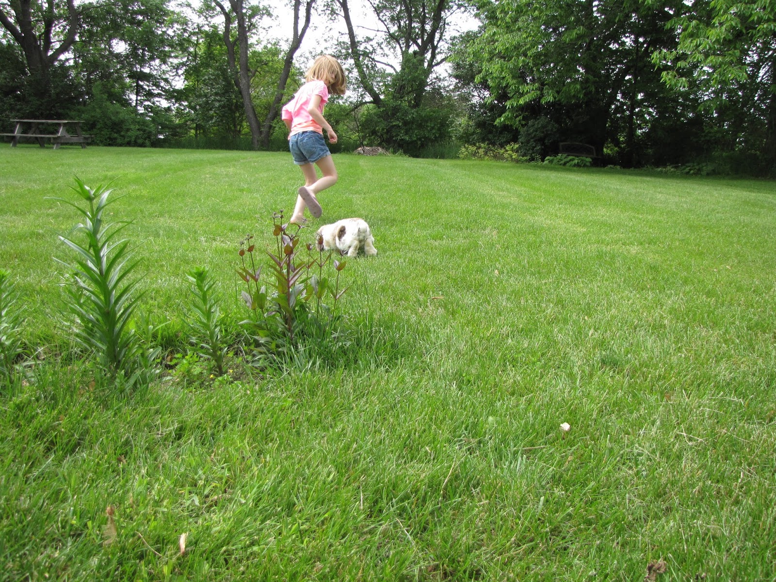 Living the Daly Life Rabbit Racing