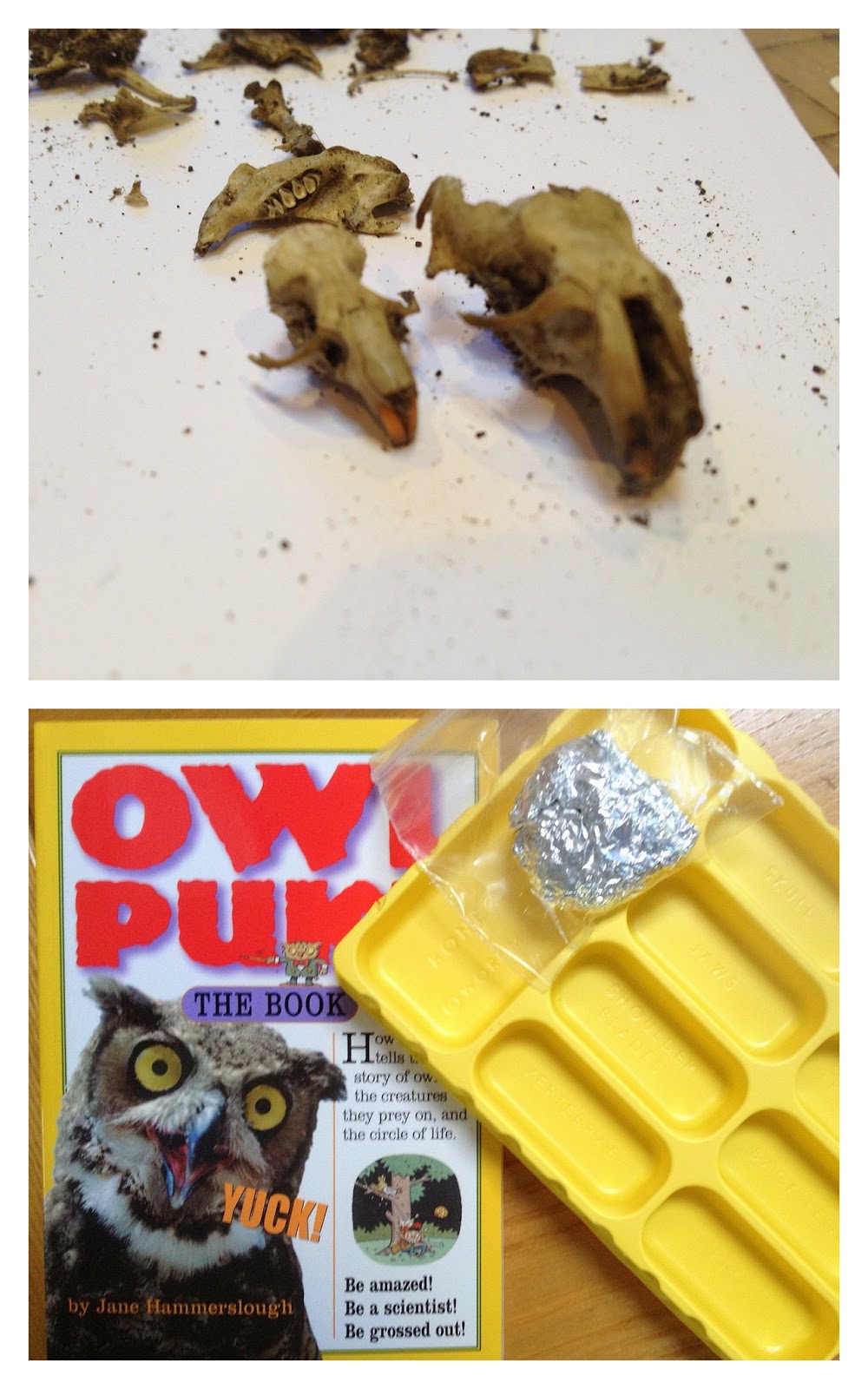 Our Worldwide Classroom O is for Owl