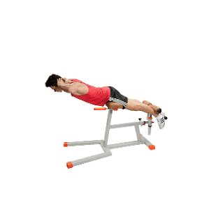 Back Extensions Back Extensions