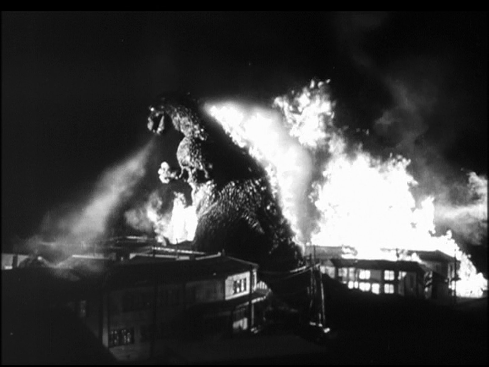 The Godzilla Cycle 初代ゴジラ Godzilla 1954