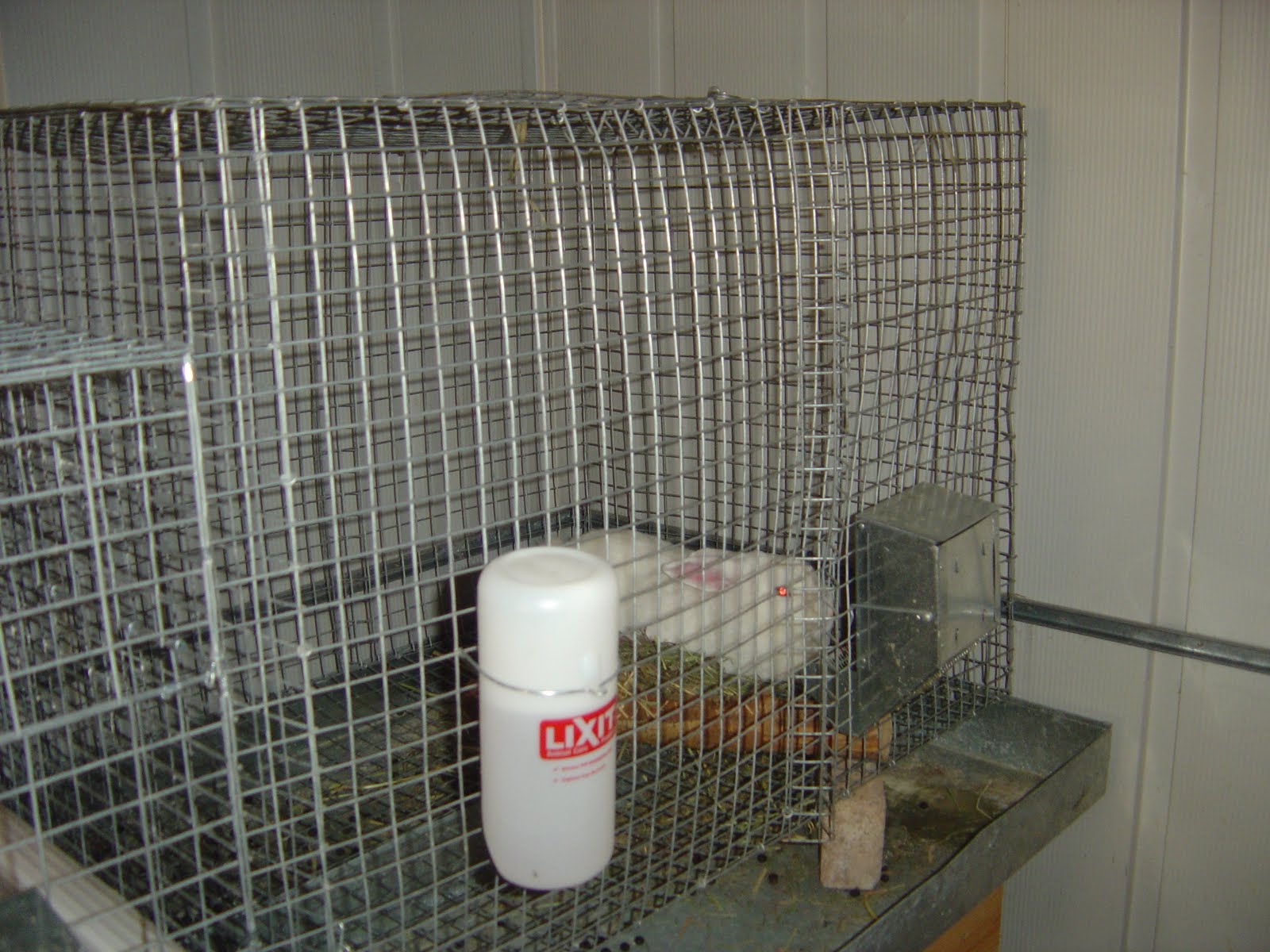 WildernesFamily Meat Rabbit setup and more