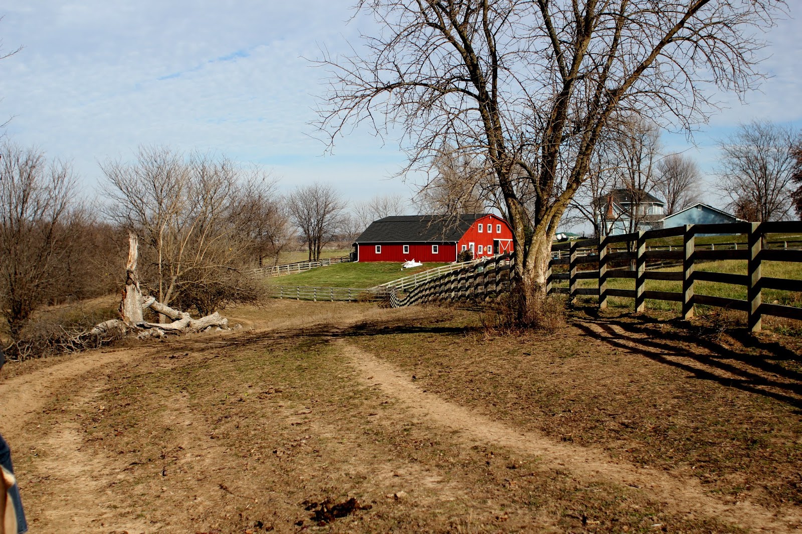 26 east ride with us wild rose equine center