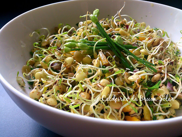 Salada de lentilha germinada