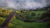 A Little Fog, A Little Diversity