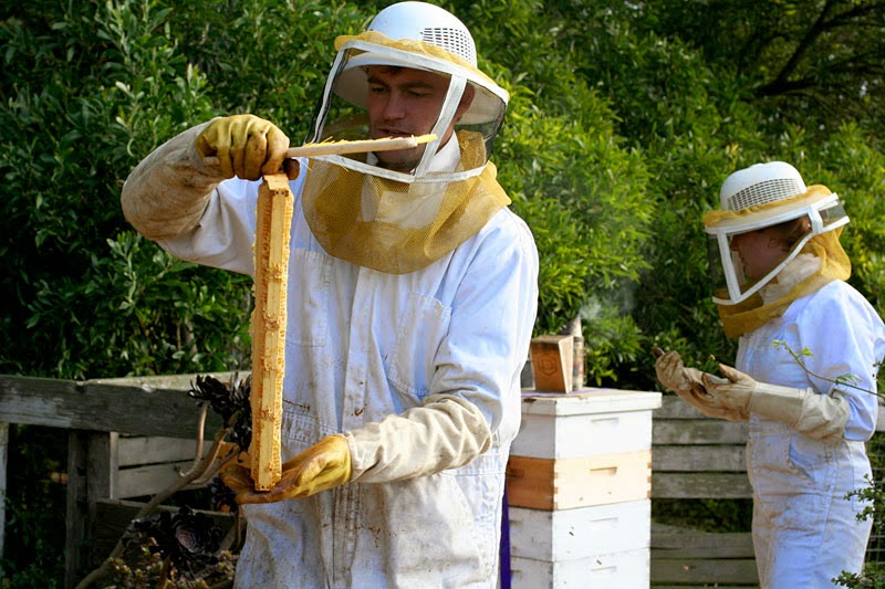 My Northwest Rhode Island Bee Keeping Course for Beginners in