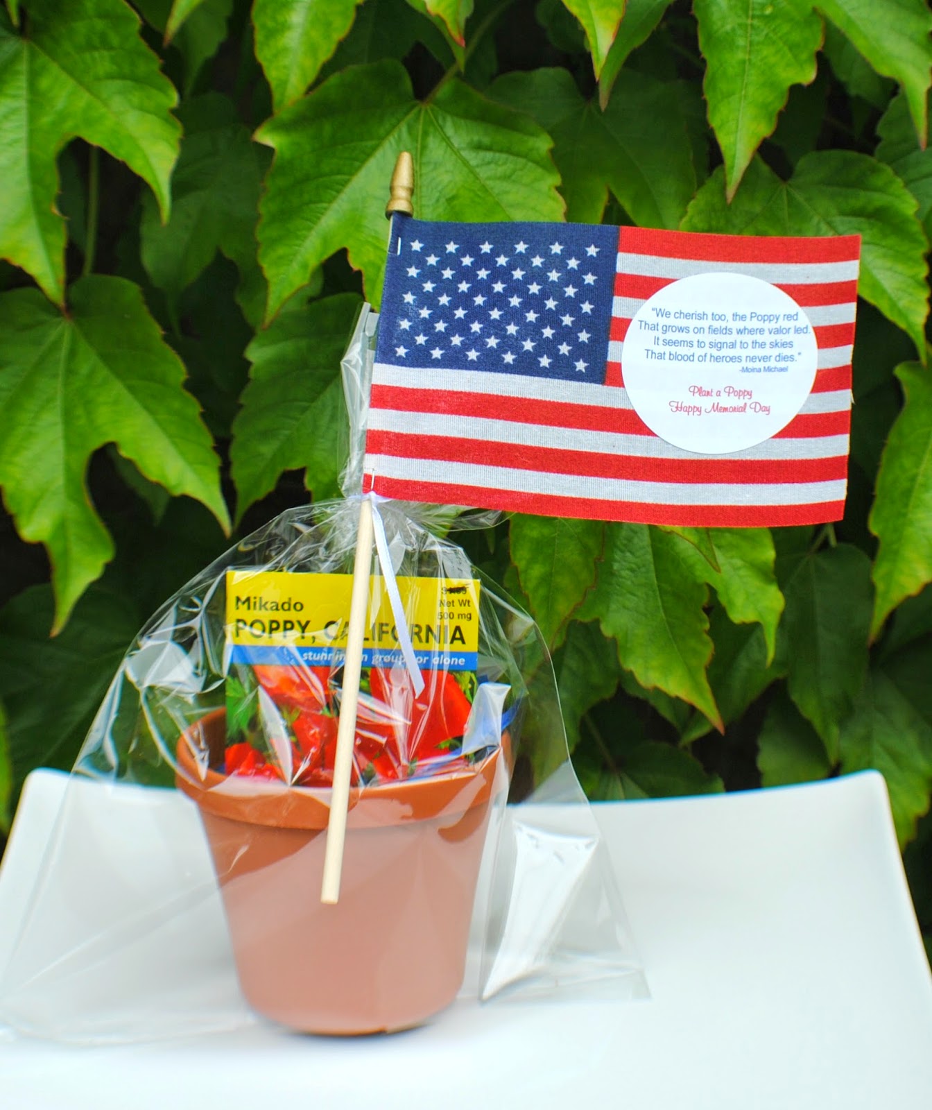 Jac o' lyn Murphy Memorial Day Favors Poignant Party Poppies