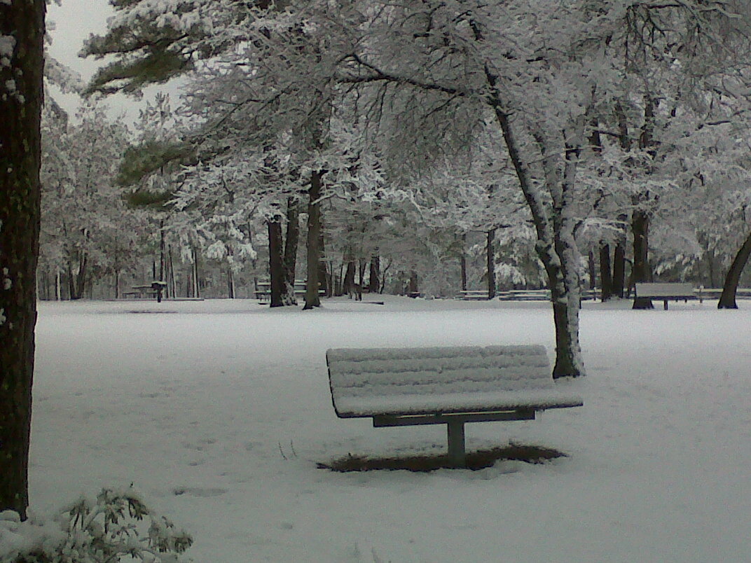 Lumber River State Park Chalk Banks New Fallen Snow