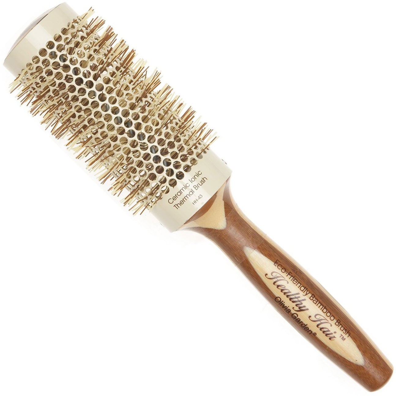 Bamboo Grove Photo Bamboo Hair Brush
