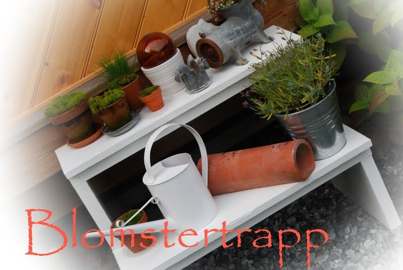 Alvas hobby: blomstertrapp,mose og ideer:)