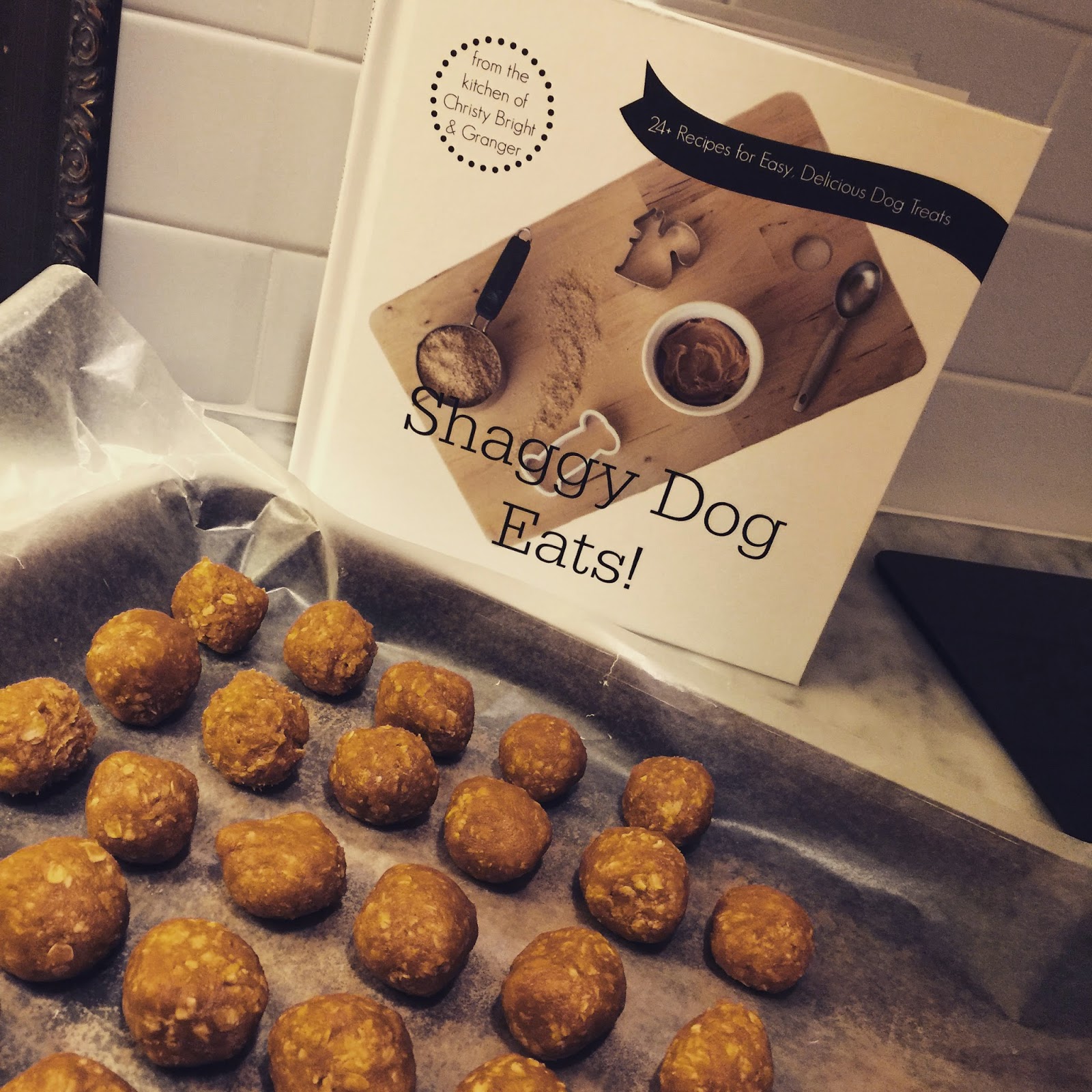 the little cottage on the pond... Shaggy Dog Eats a giveaway...