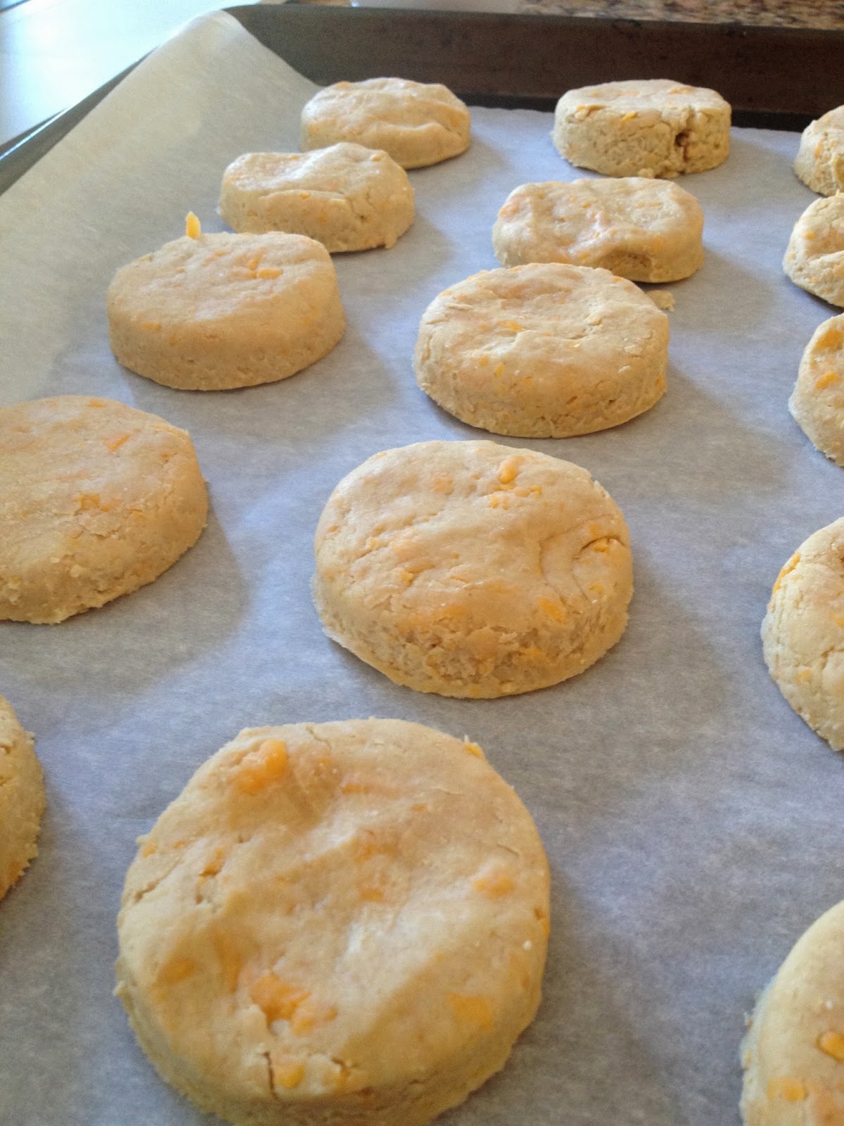 Sea Jay's Cupcakes WholeWheat Garlic Cheddar Biscuits