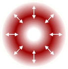 radial-pol.gif