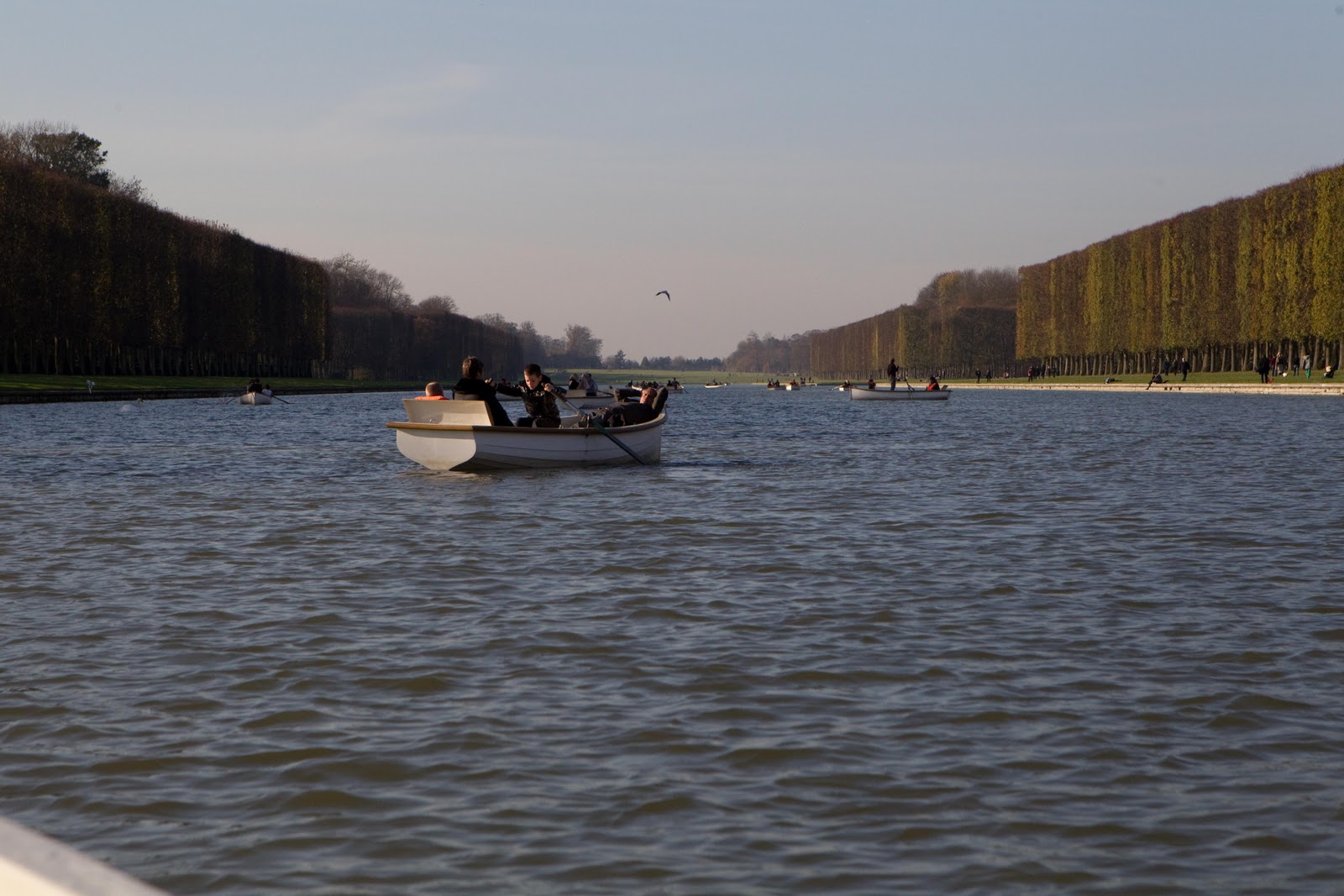 Life of a Lil Notti Monkey My 1st Rowing experience at Garden of