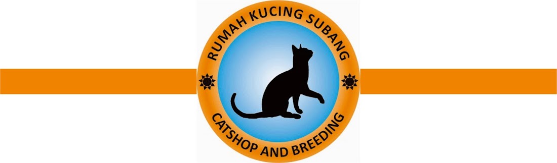 Rumah Kucing Subang