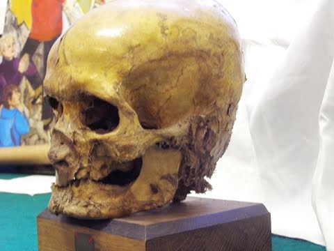Mummified Skull
