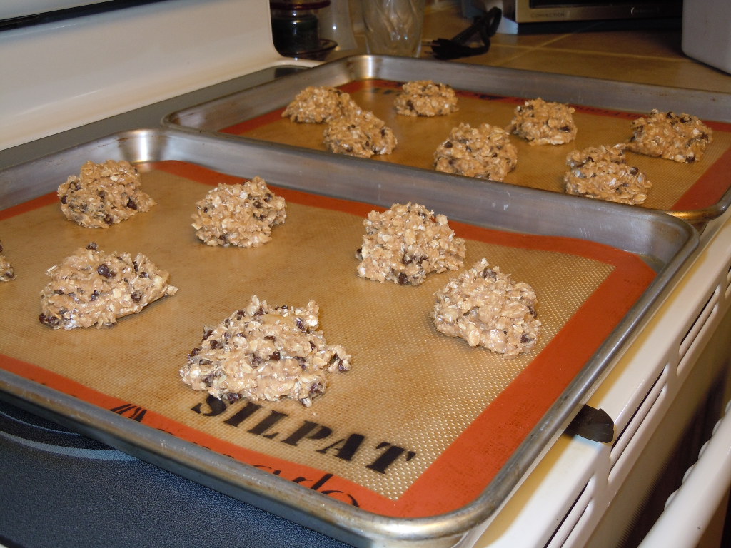 Won in the Oven Chewy Low Fat Banana Chocolate Chip Cookies