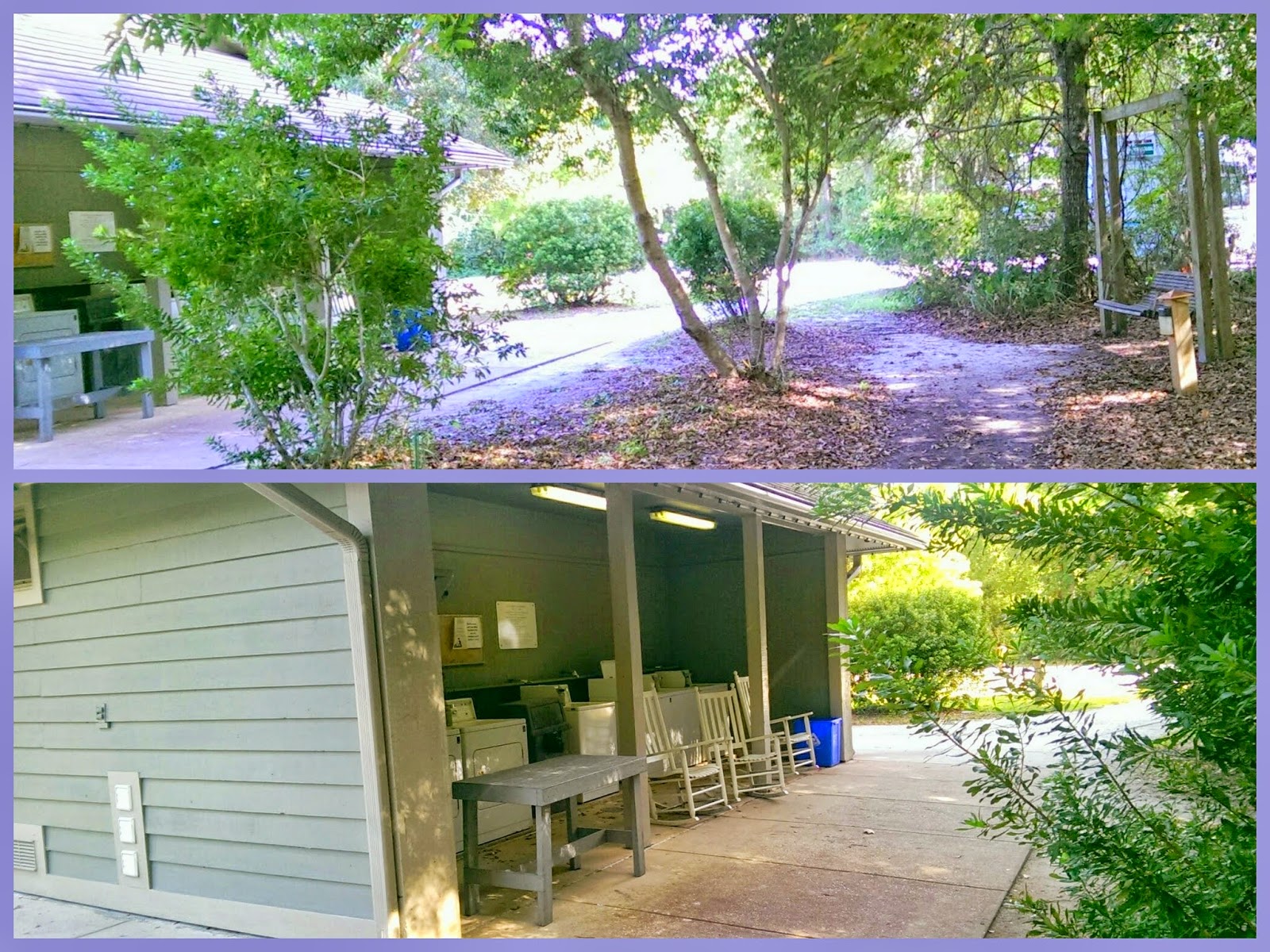 James Island County Park, SC Flyin' the Coop