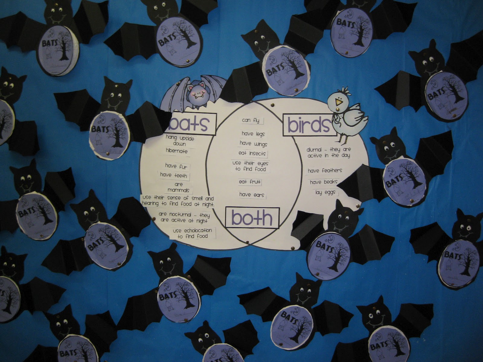 Classroom Fun Gone Batty and a Freebie