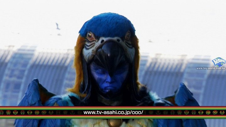 parrot%2Byummy.png