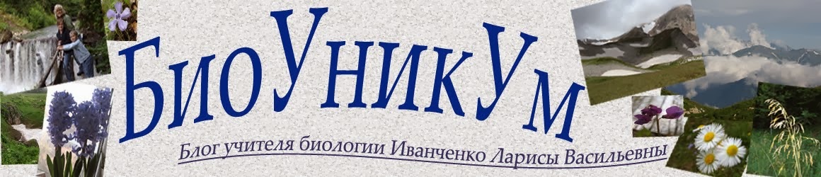 БиоУникУм