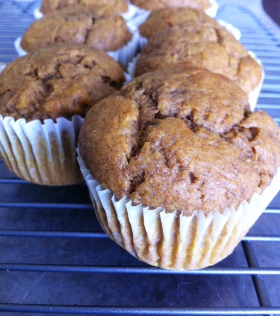 Fueling Strong Yoga Pants & Pumpkin Muffins Brighten My Day