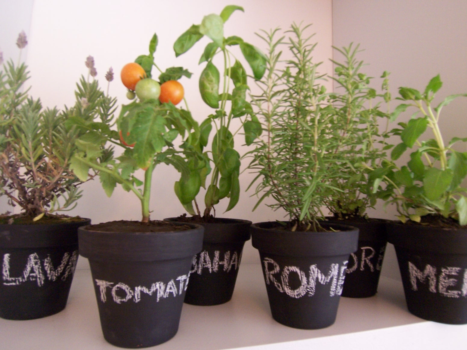 Viaje Fuerza Y Coraje Las Huertas Organicas Son Espacios De