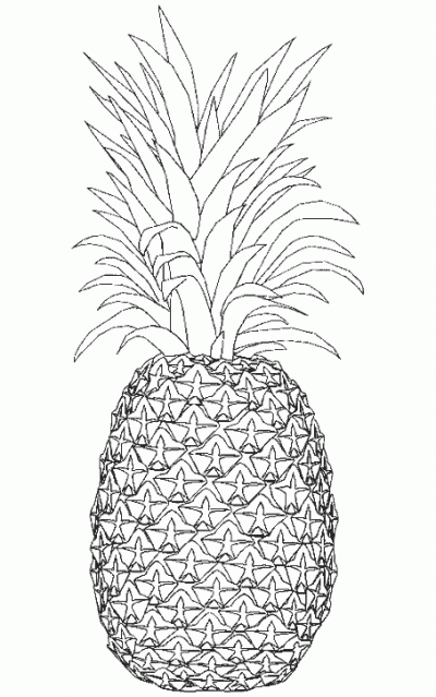 D Line Drawings Ideas : Dibujos para colorear de piÑas