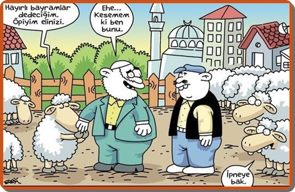 ehil kalem bayram karikaturleri