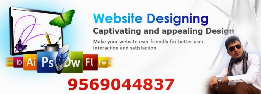 Free Lancer Web Designer In Chandigarh