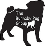 THE BURNABY PUG GROUP