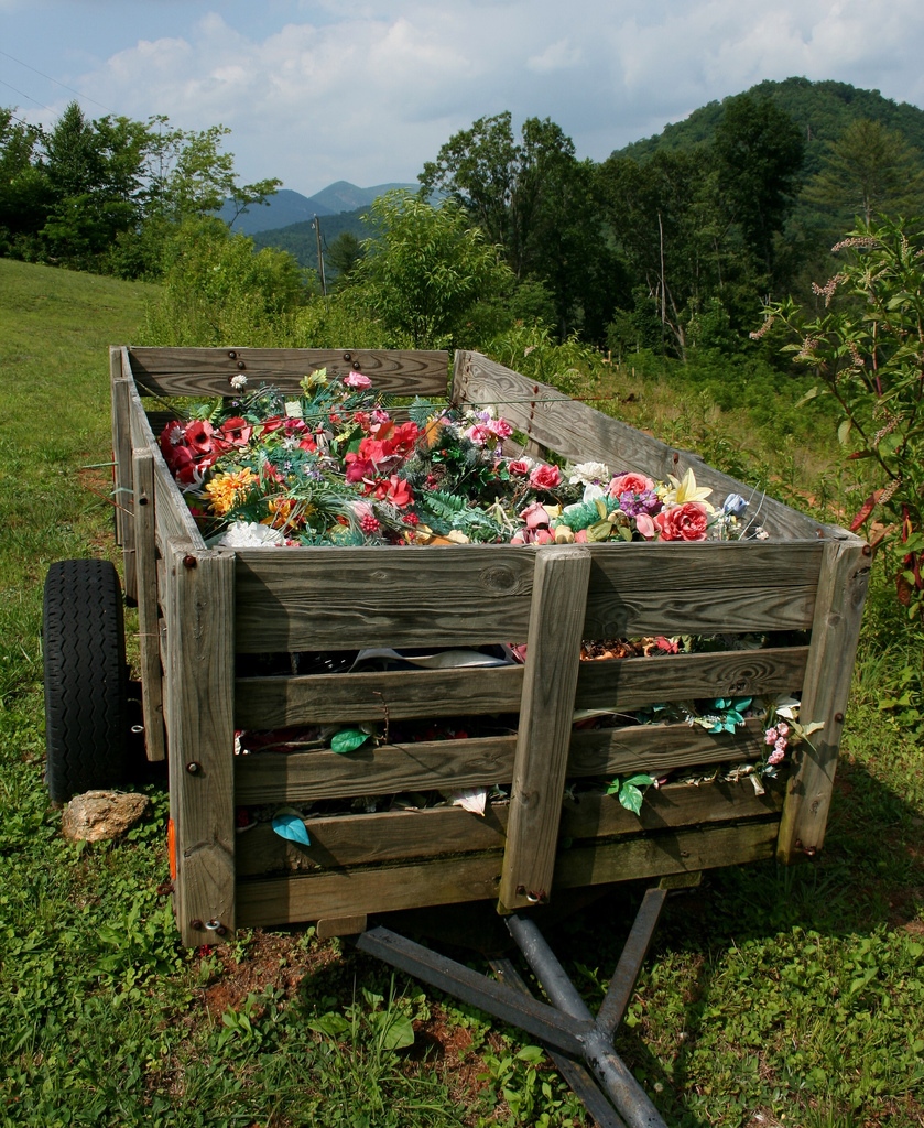 The Carpetbagger Decoration Day