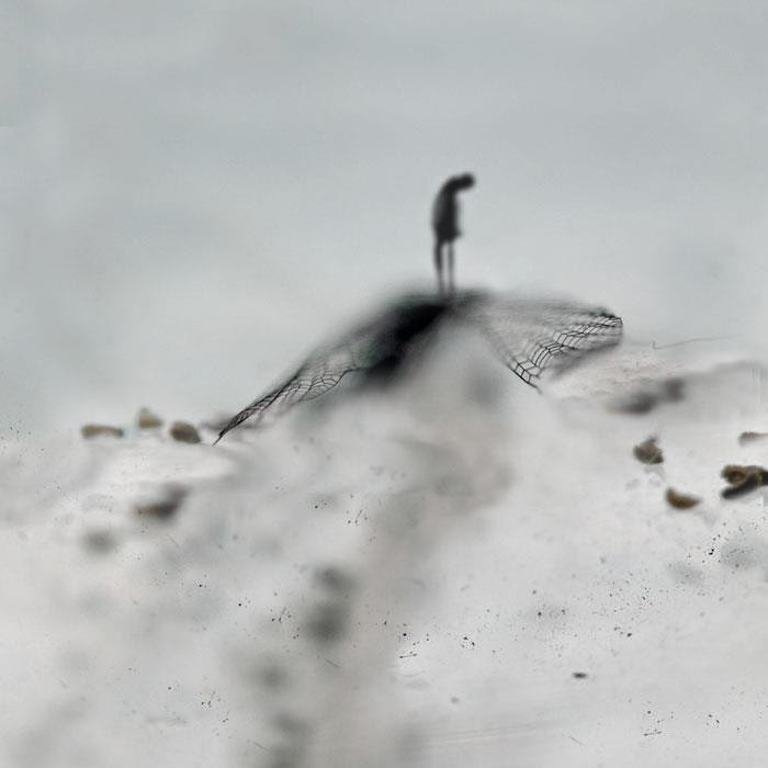 Mirjam+Appelhof+Tutt'Art@+(18)