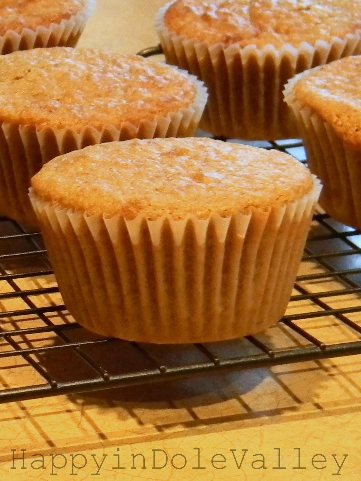 Happy in Dole Valley Cinnamon Sourdough Muffins {Muffin Monday}