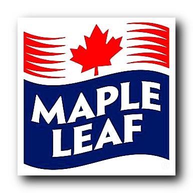 Leaf Logo History
