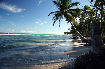 Praia Praia dos Carneiros