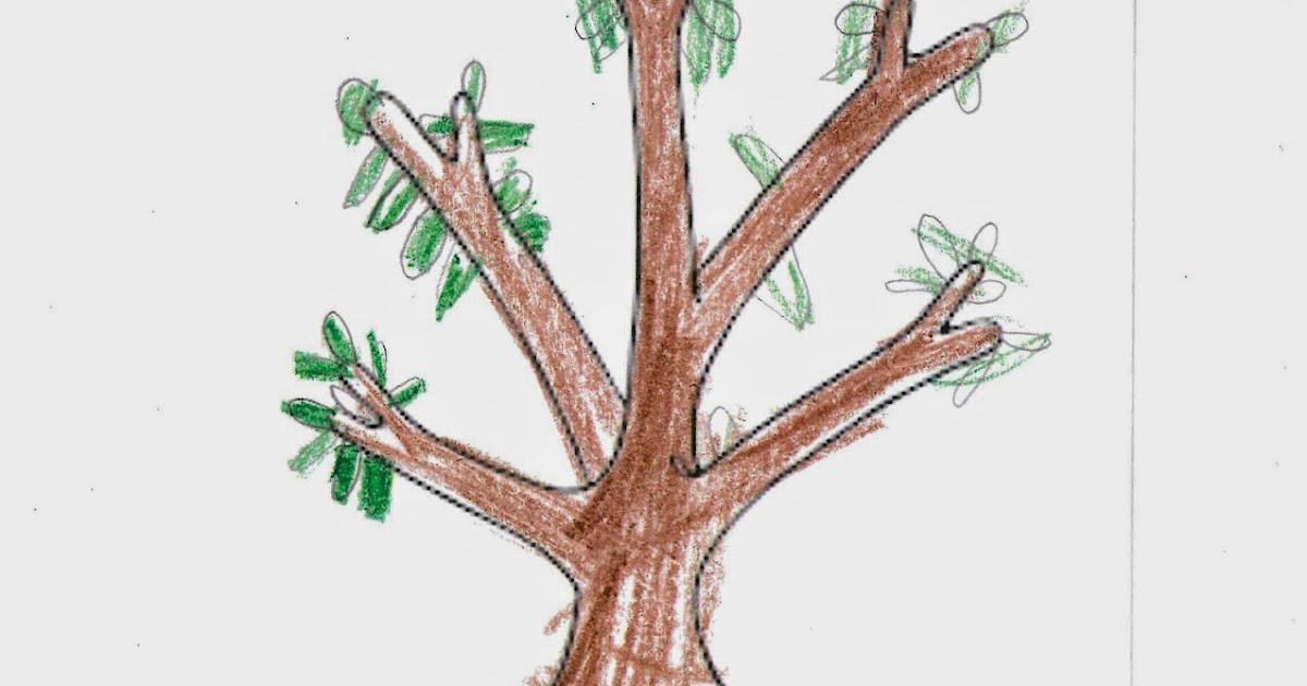 Spanish Simply Parts of a Tree in Spanish