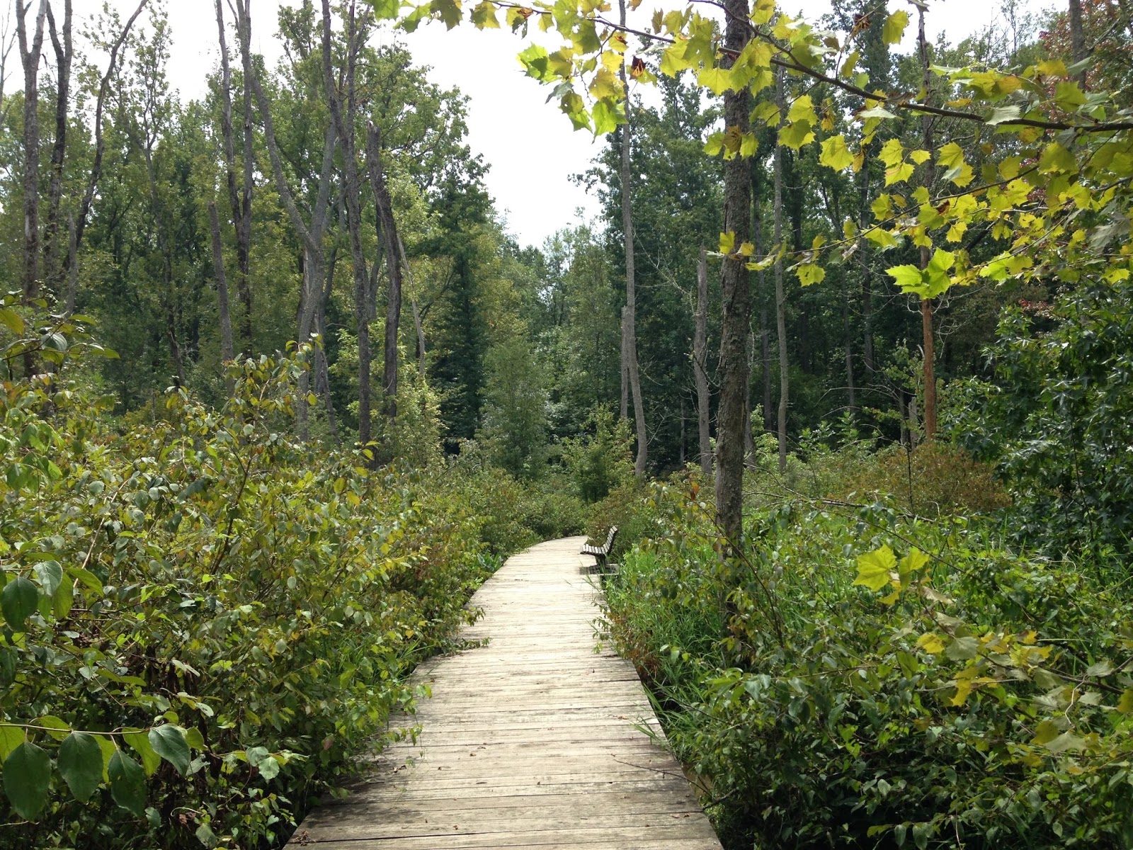 NC BACKCOUNTRY HAW RIVER STATE PARK