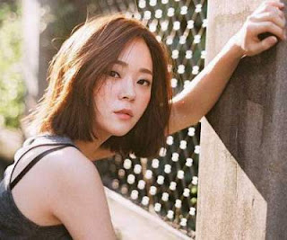 Gaya rambut brief asian brown gaya rambut pendek wanita brief asian brown