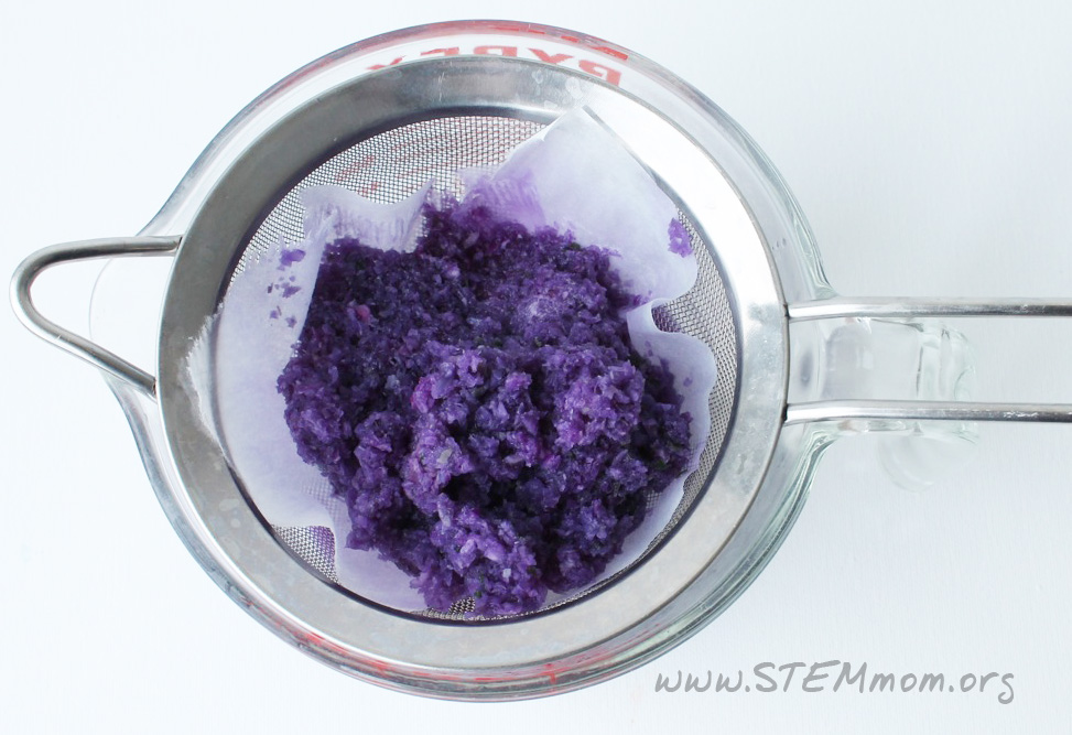 Dr. STEM Mom pH Cabbage indicator tutorial and labs