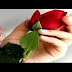 Simple Love Spells - Getting Back to Basics