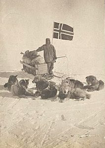 Amundsen and dogs at the Pole