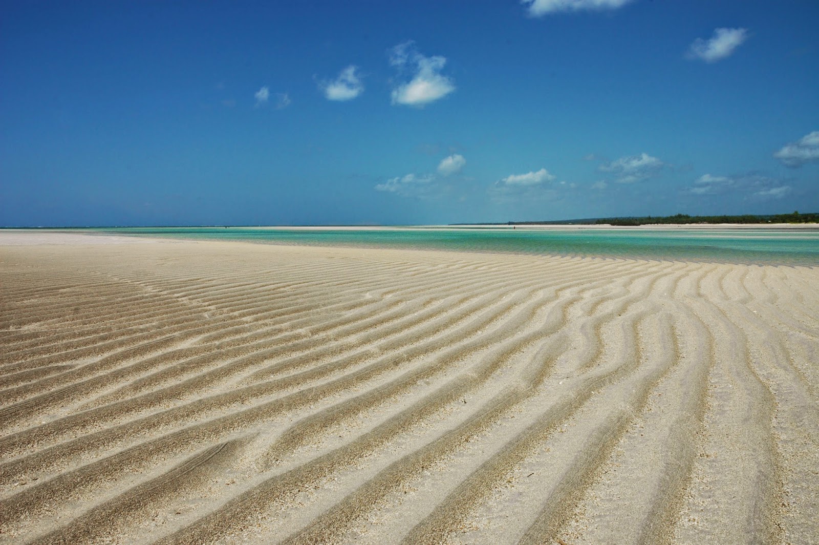 Beach at low tide in Murrebue lagoon Murrebue, Lagoon, Mozambique, Pemba, Beach, Low tide