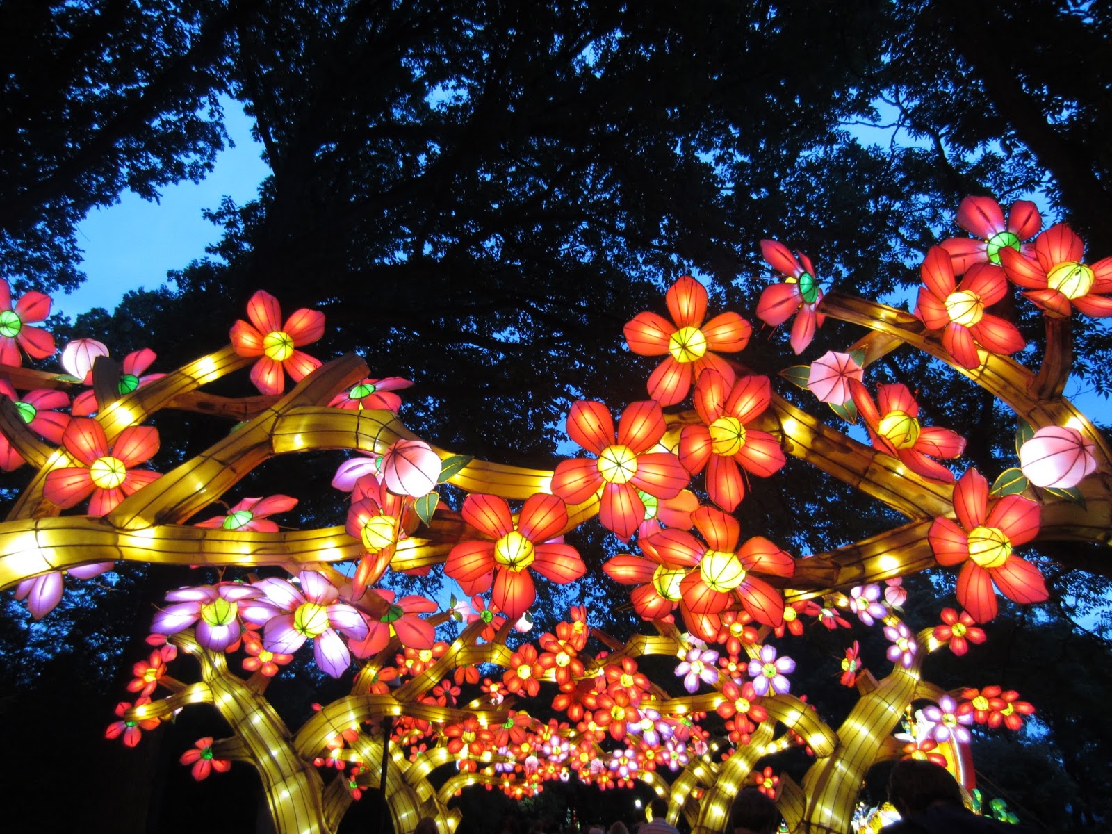 Lantern Festival at Missouri Botanical Garden