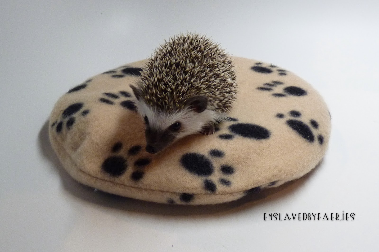 Prickle Pets Quills & Chills SnuggleSafe Heating Pad For Hedgehogs