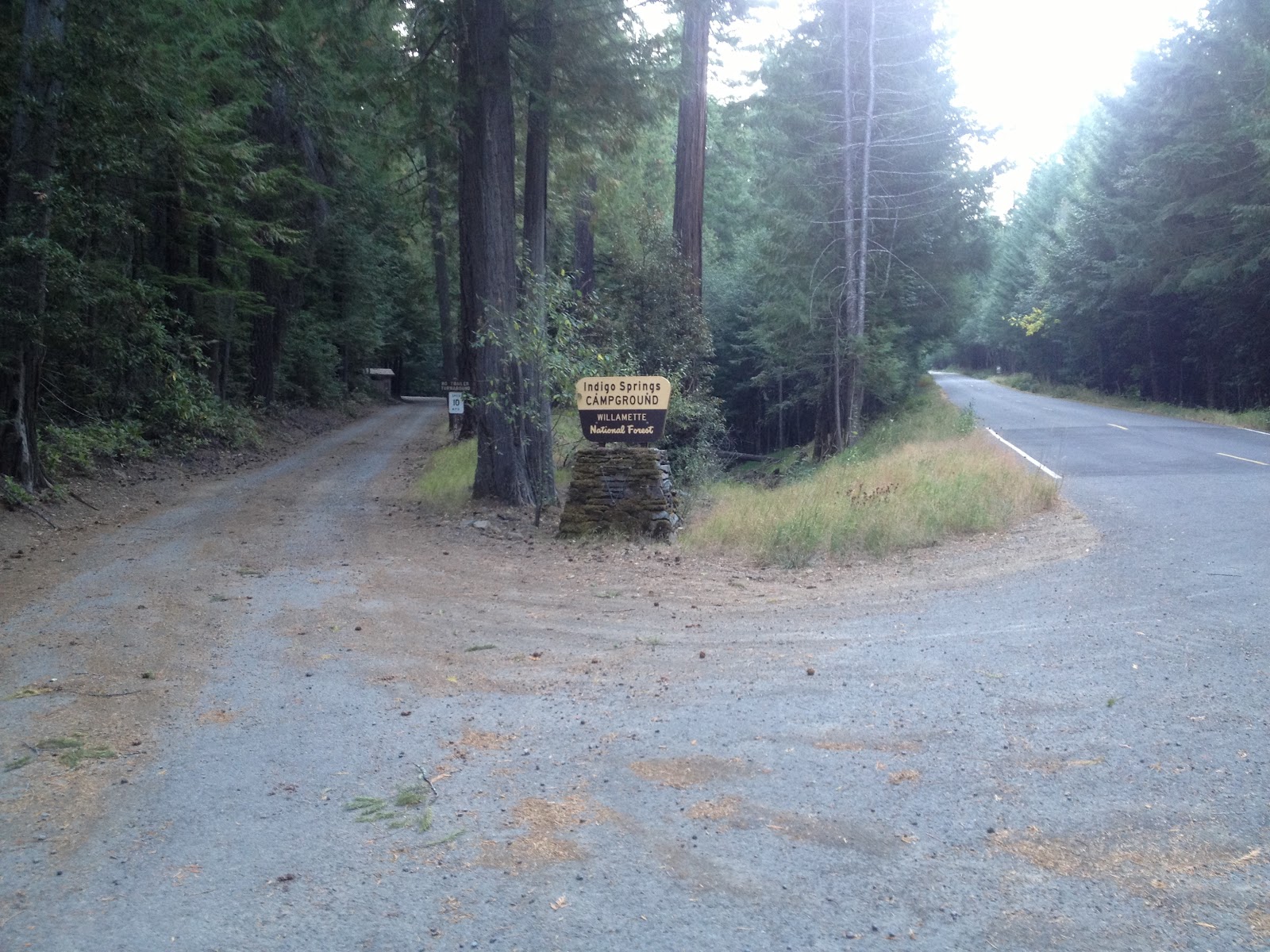 Indigo Springs Campground Willamette National Forest