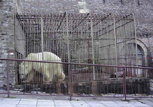 keeping animals in cages is cruel essay keeping animals in cages is cruel essay