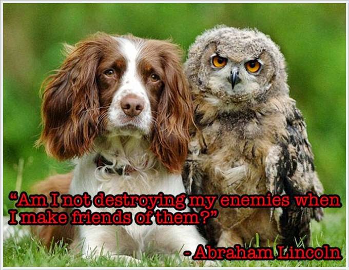 [www.keralites.net] Friendship Quotes Animals | Email OF The Day